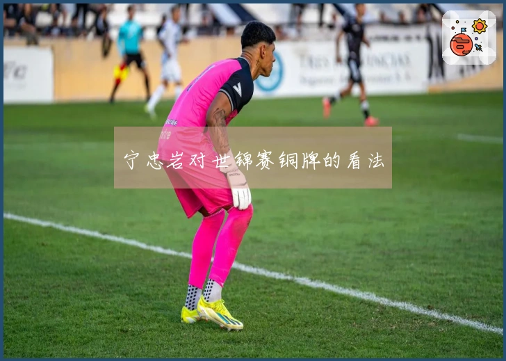 宁忠岩对世锦赛铜牌的看法