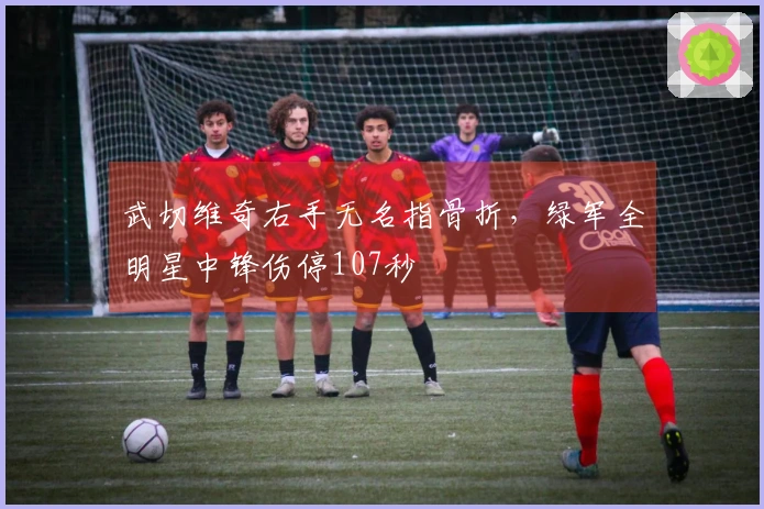 武切维奇右手无名指骨折，绿军全明星中锋伤停107秒