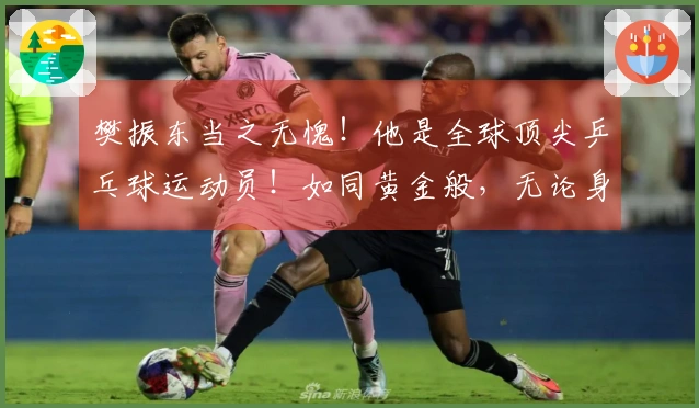 樊振东当之无愧！他是全球顶尖乒乓球运动员！如同黄金般，无论身处何地都闪耀夺目！