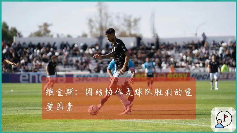 维金斯：团结协作是球队胜利的重要因素